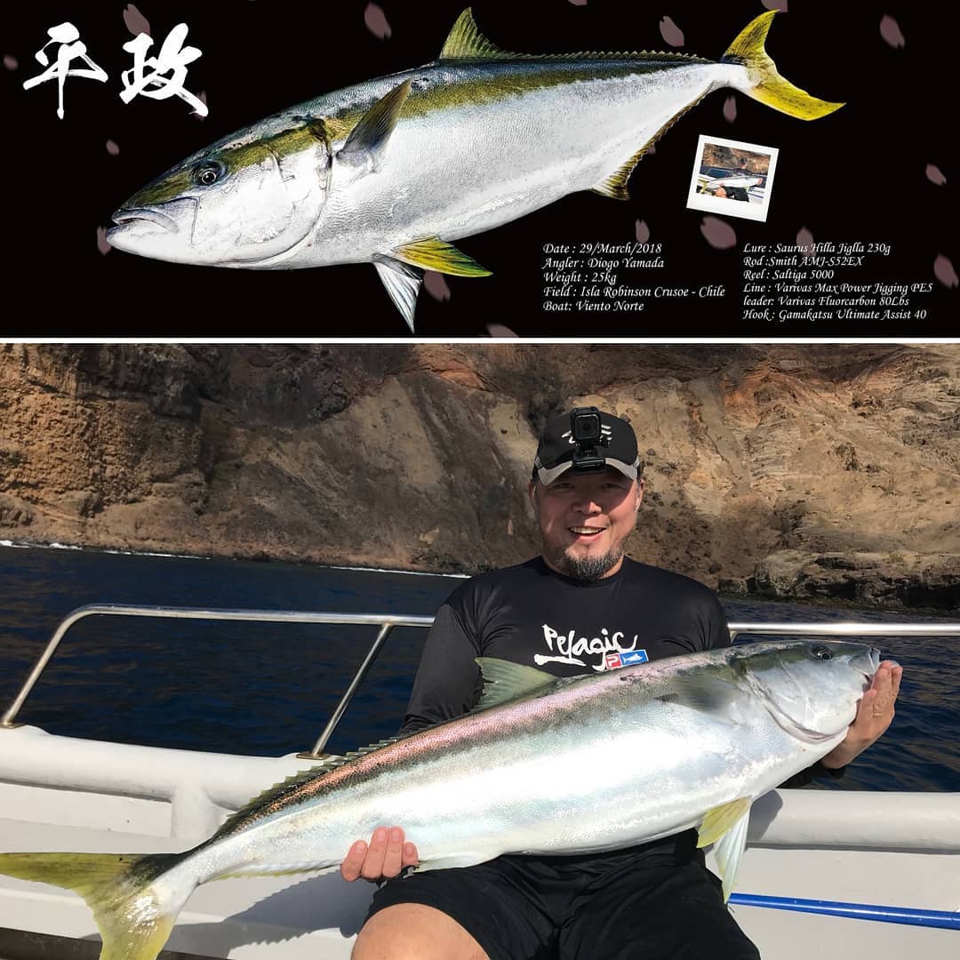 Daiwa Saltiga Kingfish and Tuna Spinning Fishing Combo