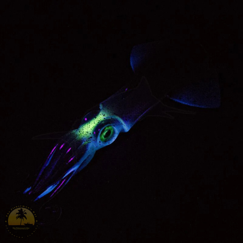 JLC XIPI EVO Combo 160g