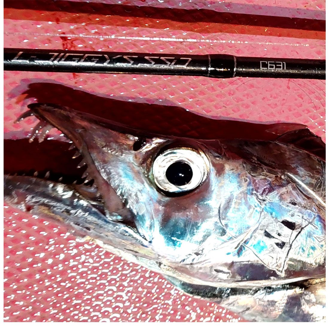 Light Jigging Rod - Tailwalk - L-JIGGYS SSD