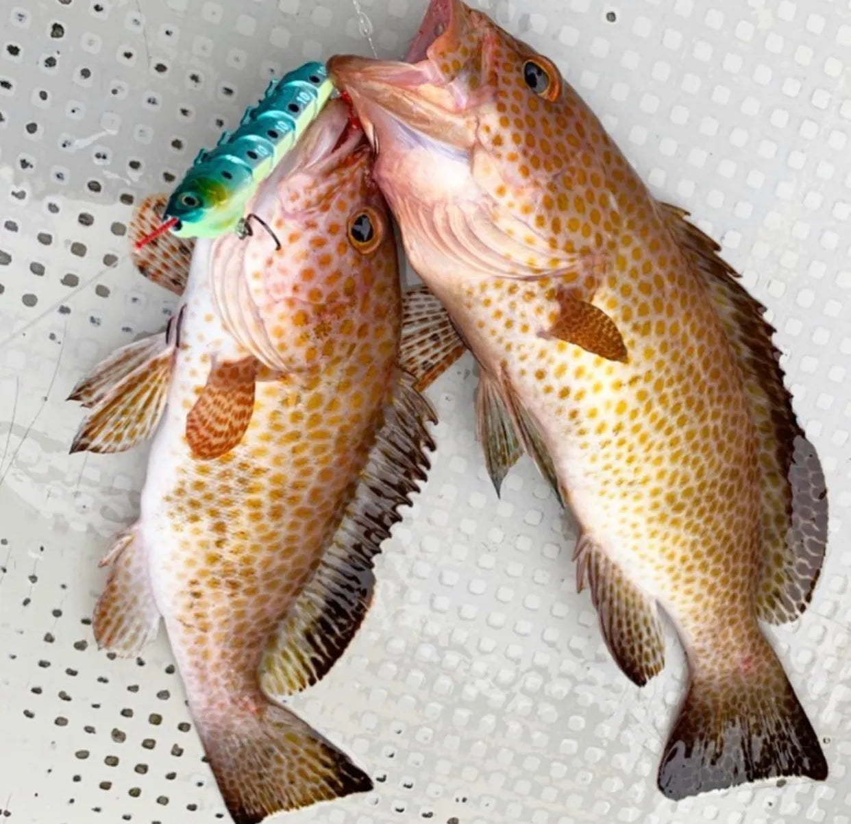 Jointed Swimming Jig - On The Blue - Jigggy 100g