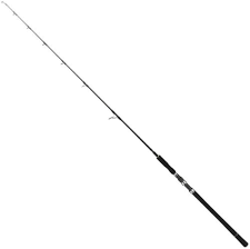 Jigging Rod - Tailwalk - JIGFORCE SSD
