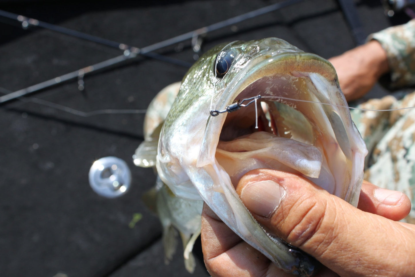 Warm Hook - Decoy - HD Hook Offset Worm 117 - The Fishermans Hut