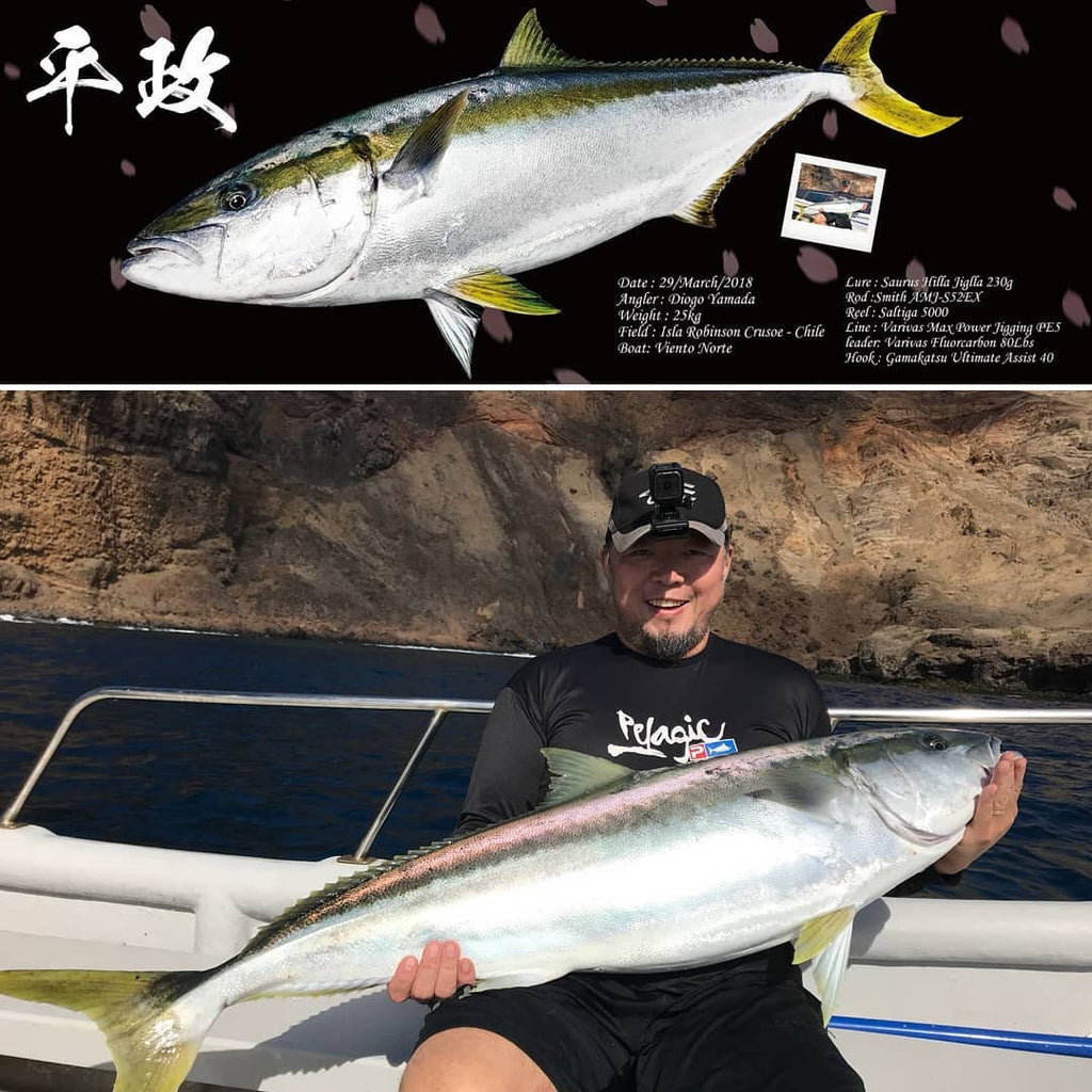 Highly efficient Speed Jigging Technique