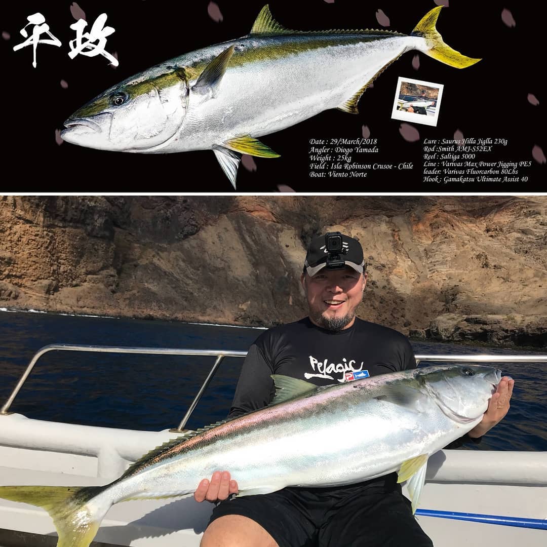 Highly efficient Speed Jigging Technique