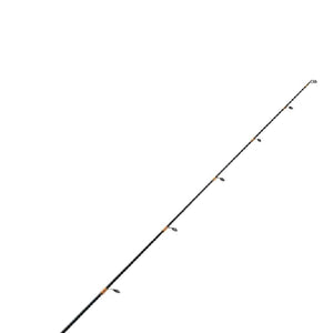 Saltwater Spinning Combo - Daiwa - Eliminator ELT5000/701H