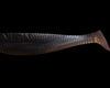 Paddle Tail - NLBN - 3