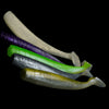 Paddle Tail - NLBN - 8