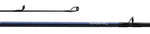 Load image into Gallery viewer, Inshore Casting Rod - Daiwa - Aird Coastal Inshore Casting Rods
