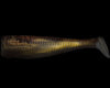 Paddle Tail - NLBN - 3