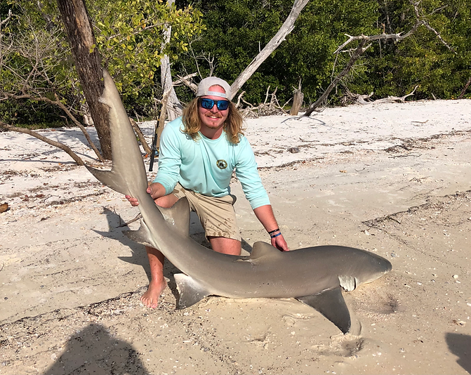 Rigs - Florida Tackle Supply - Shark Rig XL Shark