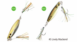 Load image into Gallery viewer, Jig - Hayabusa - Jack Eye Groggy (NEW!)

