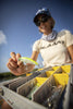 Fishing and Tackle Storage - Plano - Plano EDGE Professional 3700 Deep Box