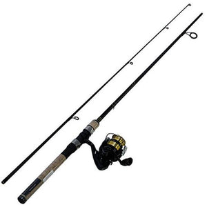 Freshwater Spinning Combo - Daiwa - DSK20-B/F6025ML D-Shock 6ft