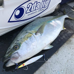 Load image into Gallery viewer, Jigging Hook - Vanfook - Jigen Grippy JH-40
