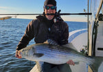Load image into Gallery viewer, Inshore Spin Rod - Nomad - NIS Inshore Spin Rod
