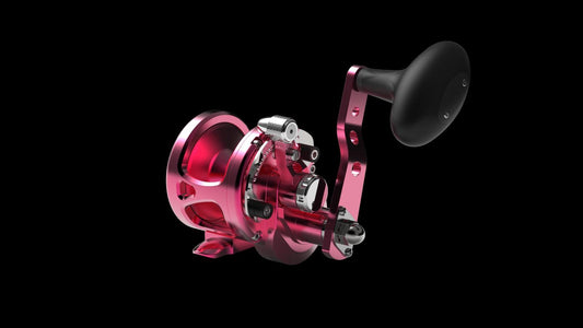 Daiwa 23 SEABORG 400J Electric Reel Right Handle Light Compact