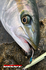 Load image into Gallery viewer, Jigging Single Hook - Decoy - Pike AS-03
