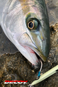 Jigging Single Hook - Decoy - Pike AS-03