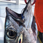Load image into Gallery viewer, Assist Hook - Vanfook - GS-70 JIGEN 4 BRAIDS ASSIST GRIPPY - The Fishermans Hut
