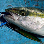 Load image into Gallery viewer, Assist Hook - Vanfook - GS-70 JIGEN 4 BRAIDS ASSIST GRIPPY - The Fishermans Hut
