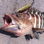 Load image into Gallery viewer, Assist Hook - Vanfook - JLT-46 JIGEN LONG TWIN - The Fishermans Hut
