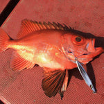 Load image into Gallery viewer, Assist Hook - Vanfook - JLT-46 JIGEN LONG TWIN - The Fishermans Hut
