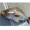 Assist Hook - Vanfook - STA-15 SWIFTER SUPER LIGHT JIGGING TWIN ASSIST - The Fishermans Hut
