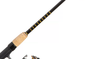 Saltwater Spinning Combo - Daiwa - Daiwa BG3000/701M