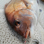Load image into Gallery viewer, Hook - Vanfook - SW-04 SWIFTER SUPER LIGHT JIGGING - The Fishermans Hut
