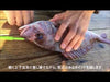 Fish Spike - Lumica - Ikijime Shank A Long