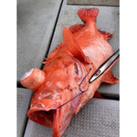 Load image into Gallery viewer, Assist Line - Vanfook - J-FC JIGGING ASSIST LINE FLUORO CORE - The Fishermans Hut

