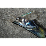 Load image into Gallery viewer, Jig Head - Decoy - SV-34 SGHead - adaptable - The Fishermans Hut
