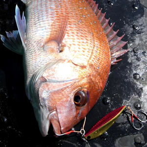 Jig - Tackle House -Tai Jig 40g