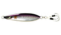 Anchovy