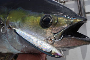 Stickbait - CB ONE - Ryan 180mm - The Fishermans Hut