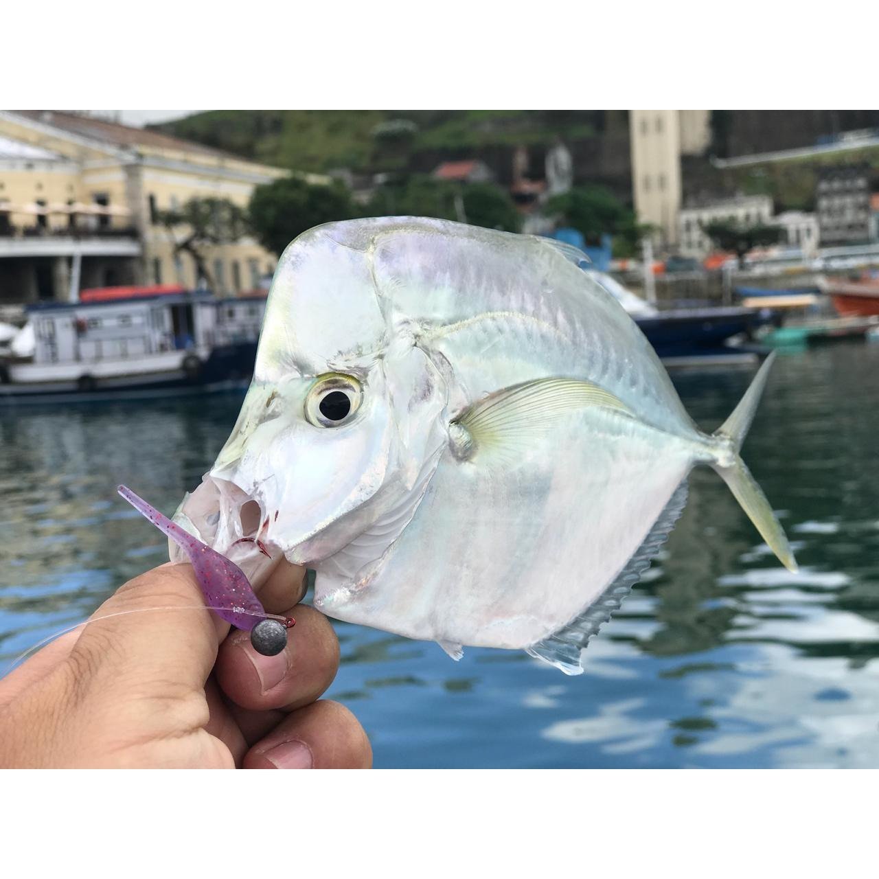 Unrigged Shrimp - Big Ones - Ultra Light Kit - The Fishermans Hut