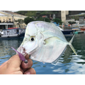 Unrigged Shrimp - Big Ones - Ultra Light Kit - The Fishermans Hut